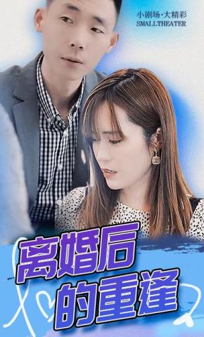 短剧离婚后的重逢海报