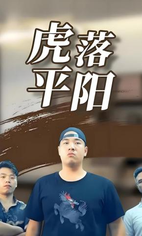 短剧《虎落平阳》海报