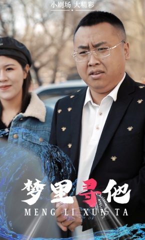 短剧梦里寻他海报