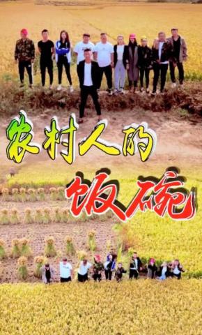 短剧农村人的饭碗海报