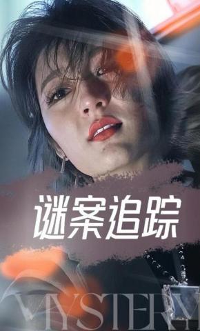 短剧《谜案追踪》海报