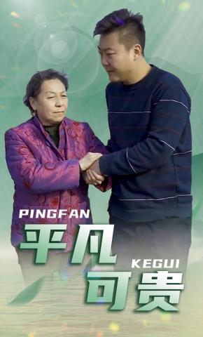 短剧平凡可贵海报