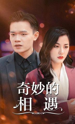 短剧《奇妙的相遇》海报