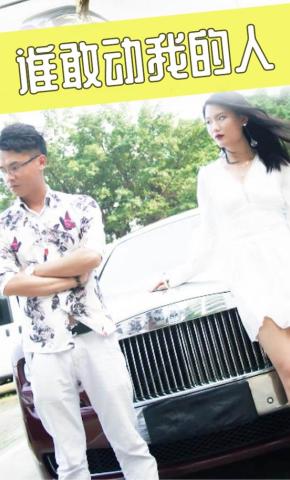 短剧谁敢动我的人海报