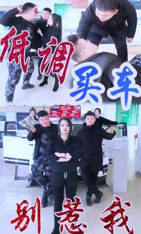 短剧低调买车海报