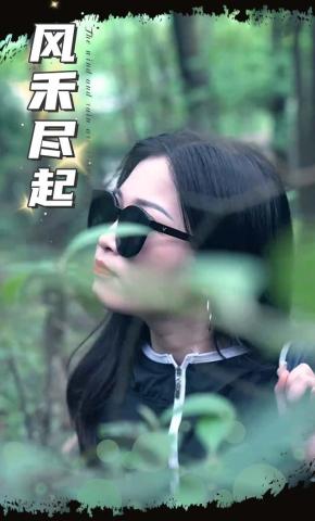 短剧风禾尽起海报