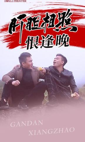 短剧肝胆相照恨逢晚海报