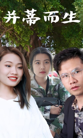 短剧并蒂而生海报