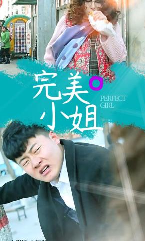 短剧完美小姐海报