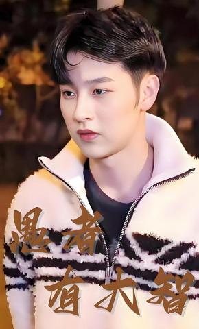 短剧愚者有大智海报