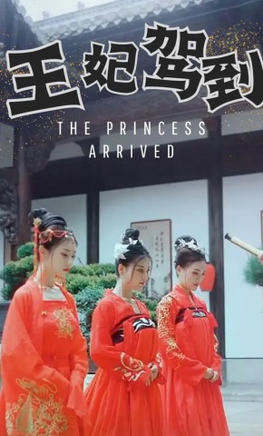 短剧王妃驾到海报
