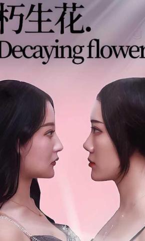 短剧朽生花海报