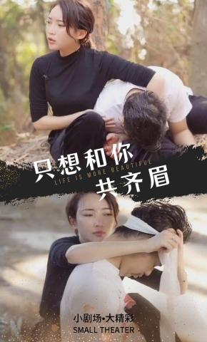 短剧只想和你共齐眉海报