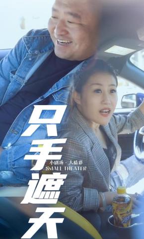 短剧只手遮天海报