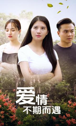 短剧爱情不期而遇海报