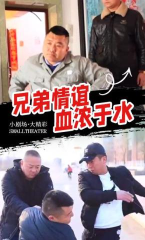 短剧兄弟情谊血浓于水海报