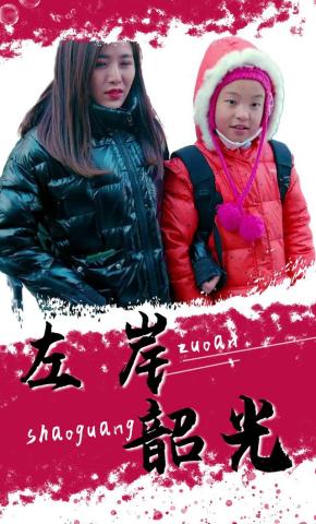 短剧左岸韶光海报