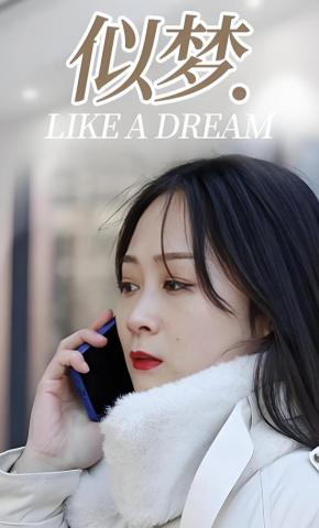 短剧《似梦》海报