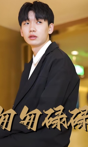 短剧匆匆碌碌海报