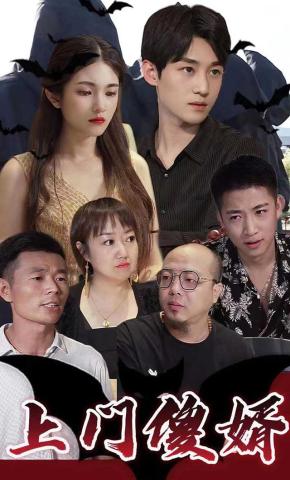 短剧上门傻婿海报