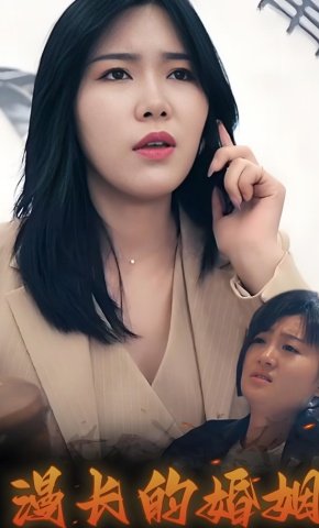 短剧漫长的婚姻海报