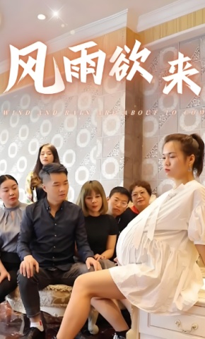 短剧风雨欲来海报