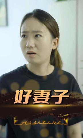 短剧好妻子海报