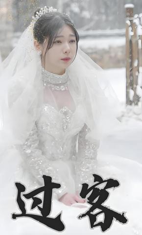 短剧《过客》海报