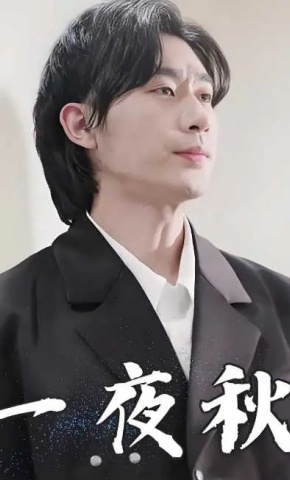 短剧《一夜秋》海报