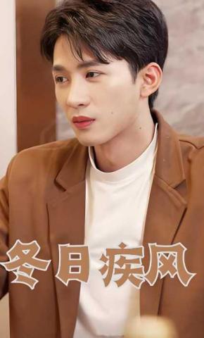 短剧冬日疾风海报