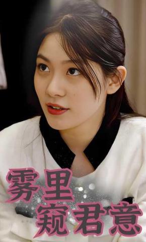 短剧雾里窥君意海报