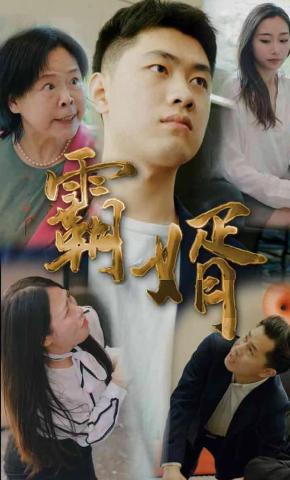 短剧上门霸婿海报