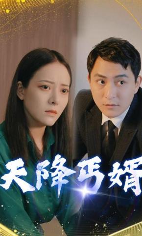 短剧天降丐婿海报