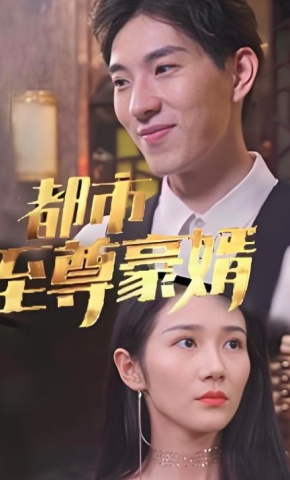 短剧《都市至尊豪婿》海报