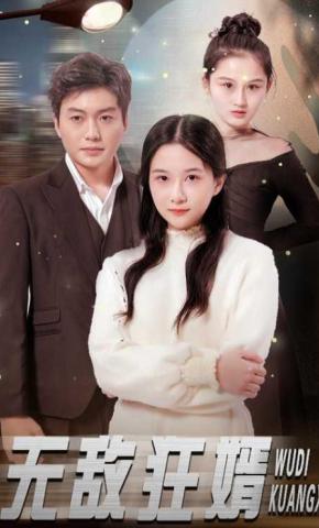 短剧无敌狂婿海报