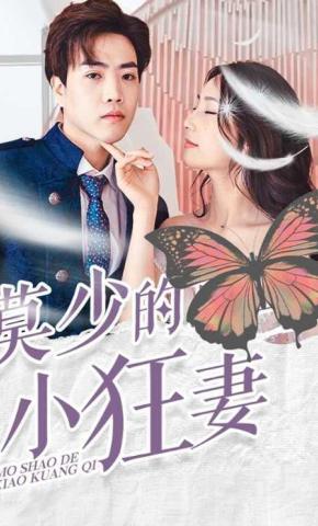 短剧莫少的小狂妻海报