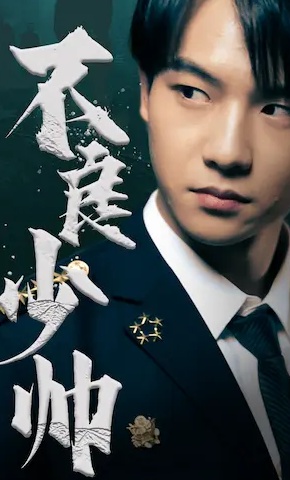 短剧不良少帅海报