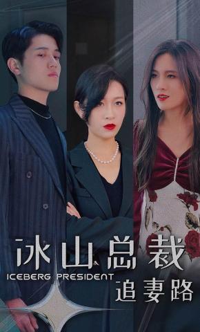 短剧冰山总裁追妻路海报