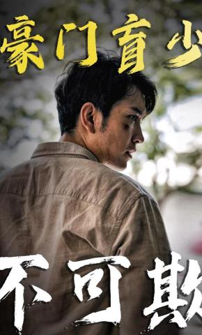 短剧豪门盲少不可欺海报