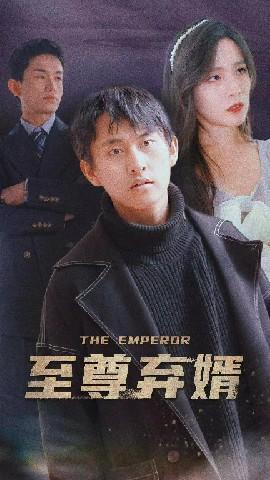 短剧《至尊弃婿》海报