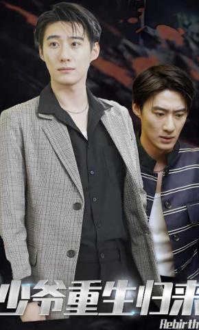 短剧少爷重生归来海报