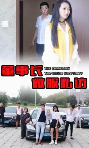 短剧董事长微服私访1.0海报
