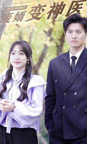 短剧废婿变神医海报