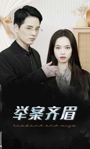 短剧举案齐眉海报