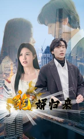 短剧《龙婿归来》海报