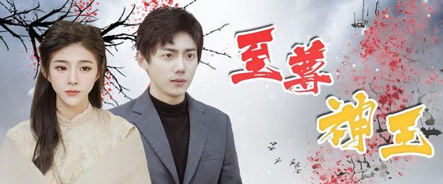 短剧至尊神王海报