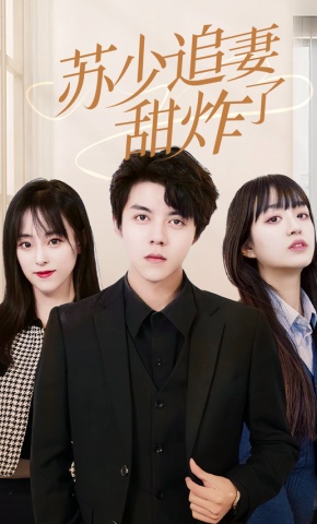 短剧苏少追妻甜炸了海报