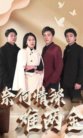 短剧奈何情深难两全海报