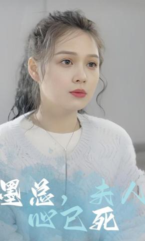 短剧墨总，夫人心已死海报