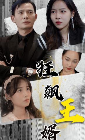 短剧狂飙王婿海报